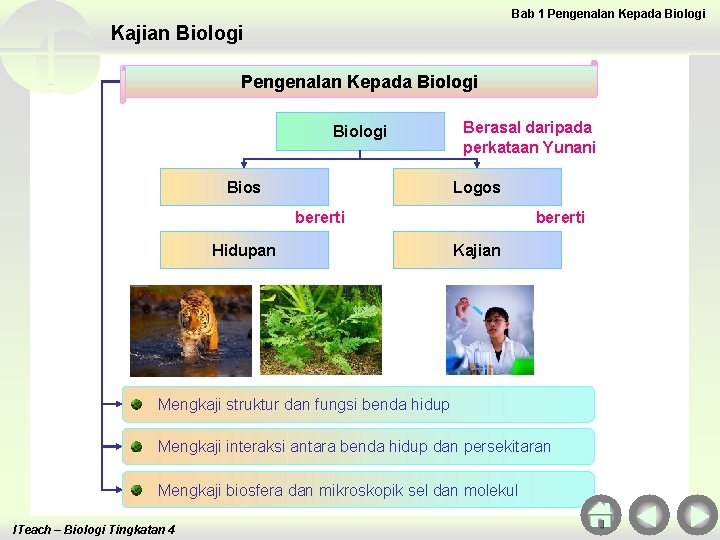 Bab 1 Pengenalan Kepada Biologi Kajian Biologi Pengenalan Kepada Biologi Bios Berasal daripada perkataan