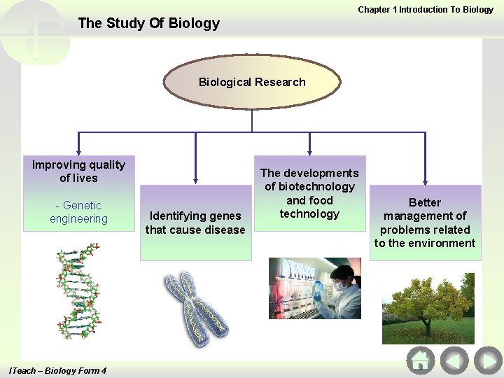 Chapter 1 Introduction To Biology The Study Of Biology Biological Research Improving quality of