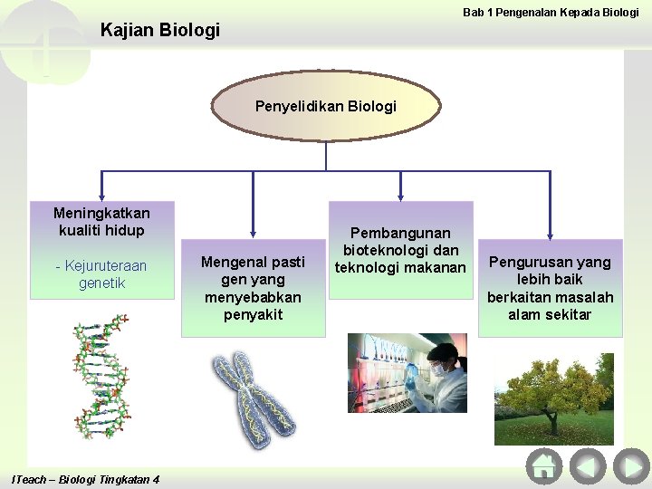 Bab 1 Pengenalan Kepada Biologi Kajian Biologi Penyelidikan Biologi Meningkatkan kualiti hidup - Kejuruteraan