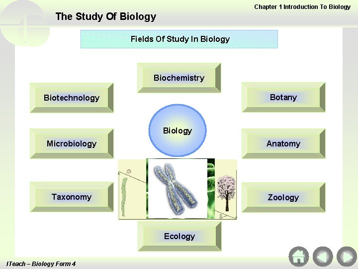 Chapter 1 Introduction To Biology The Study Of Biology Fields Of Study In Biology