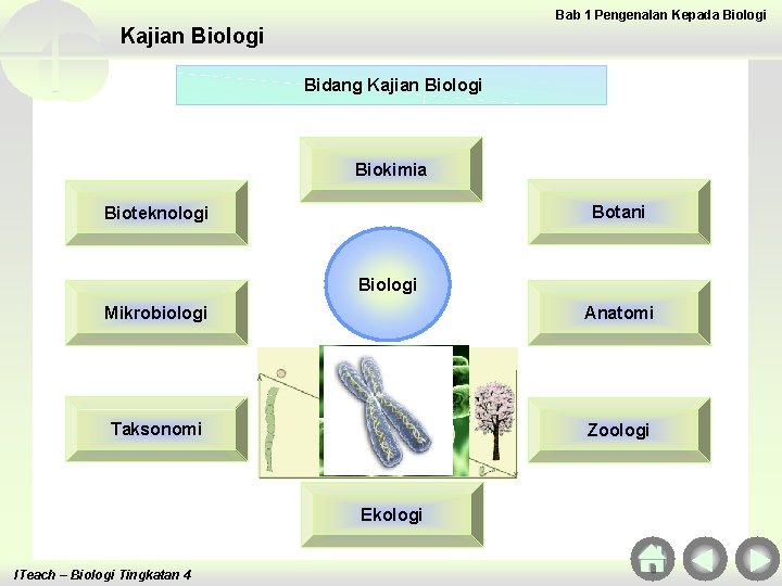 Bab 1 Pengenalan Kepada Biologi Kajian Biologi Bidang Kajian Biologi Biokimia Botani Bioteknologi Biologi
