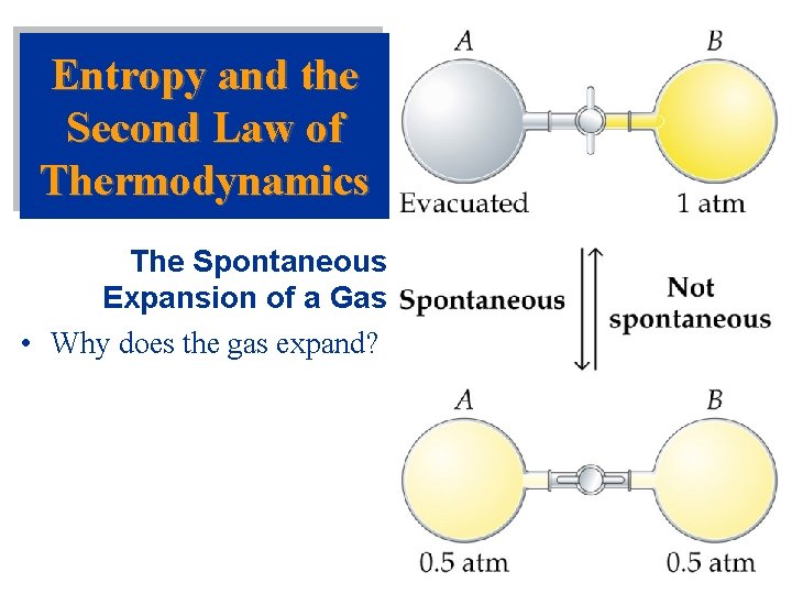 Entropy and the Second Law of Thermodynamics The Spontaneous Expansion of a Gas •