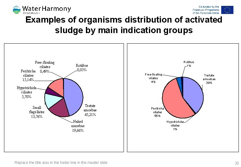 Examples of organisms distribution of activated sludge by main indication groups Free-floating ciliates Peritricha