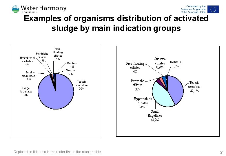 Examples of organisms distribution of activated sludge by main indication groups Hypotrichid a ciliates