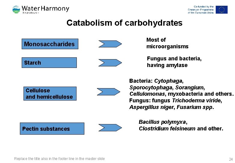 Catabolism of carbohydrates Monosaccharides Most of microorganisms Starch Fungus and bacteria, having amylase Cellulose