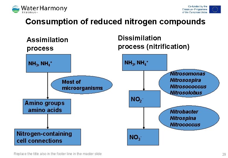 Consumption of reduced nitrogen compounds Assimilation process Dissimilation process (nitrification) NH 3, NH 4+