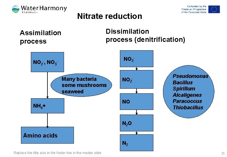 Nitrate reduction Dissimilation process (denitrification) Assimilation process NО 3 - NО 2 -, NО