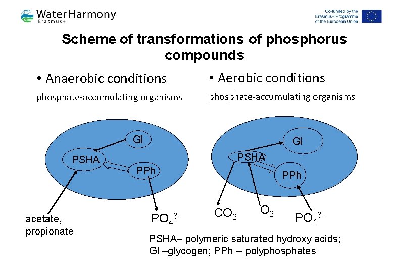 Scheme of transformations of phosphorus compounds • Anaerobic conditions • Aerobic conditions phosphate-accumulating organisms