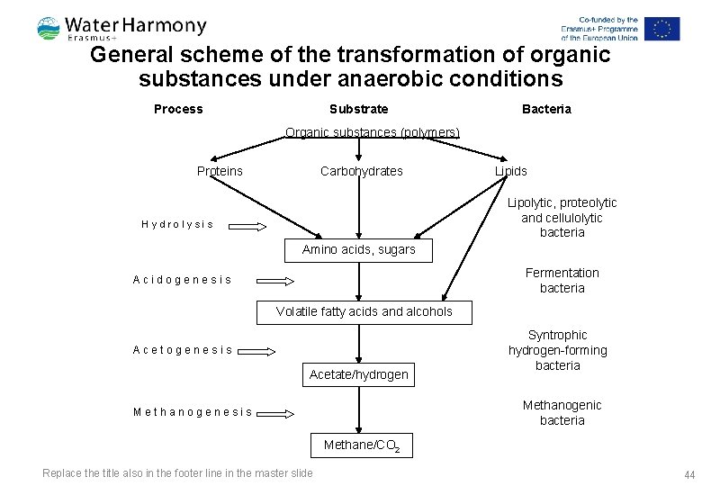 General scheme of the transformation of organic substances under anaerobic conditions Process Substrate Bacteria