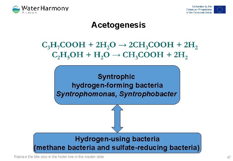 Ацетогенез Кислото Acetogenesis Syntrophic hydrogen-forming bacteria Syntrophomonas, Syntrophobacter Hydrogen-using bacteria (methane bacteria and sulfate-reducing