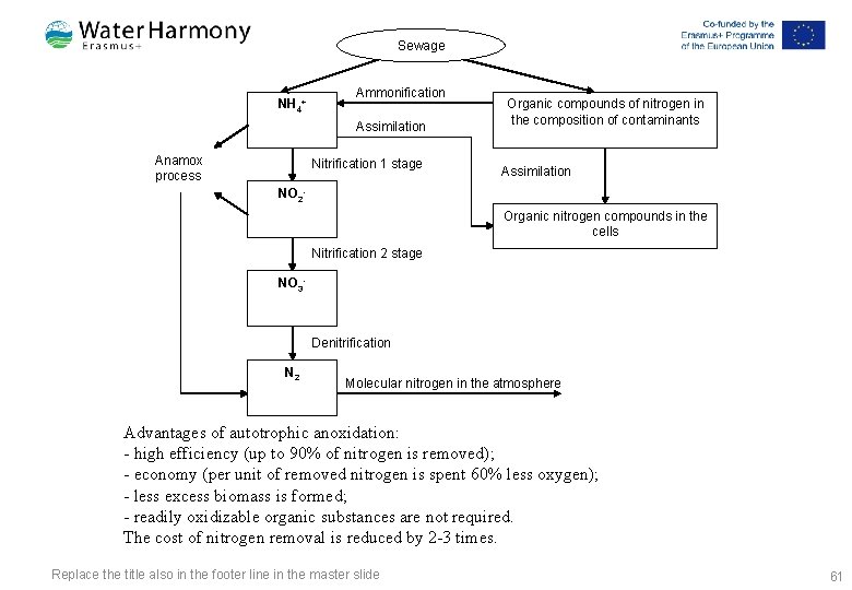 Sewage NH 4+ Ammonification Assimilation Anamox process Nitrification 1 stage Organic compounds of nitrogen