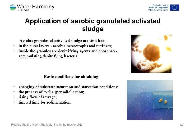 Application of aerobic granulated activated sludge Aerobic granules of activated sludge are stratified: •