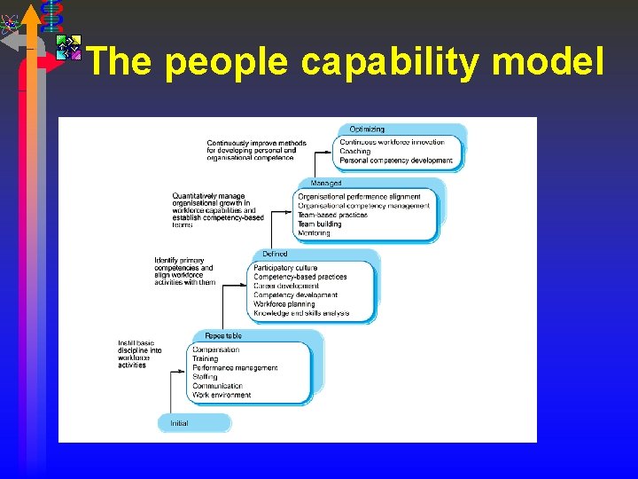 The people capability model 