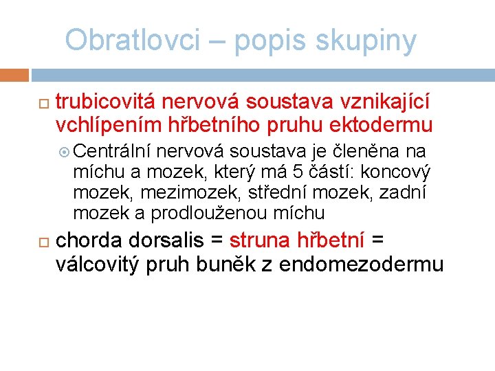 Obratlovci – popis skupiny trubicovitá nervová soustava vznikající vchlípením hřbetního pruhu ektodermu Centrální nervová