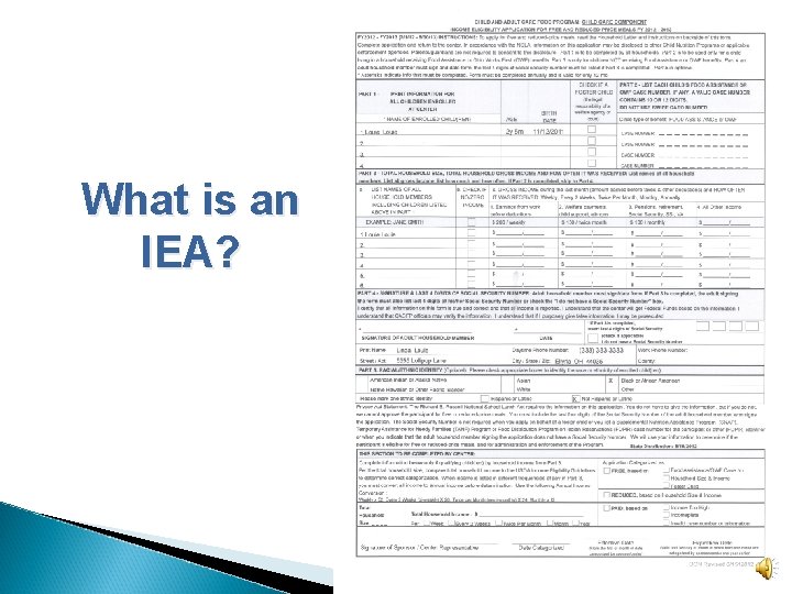 What is an IEA? 