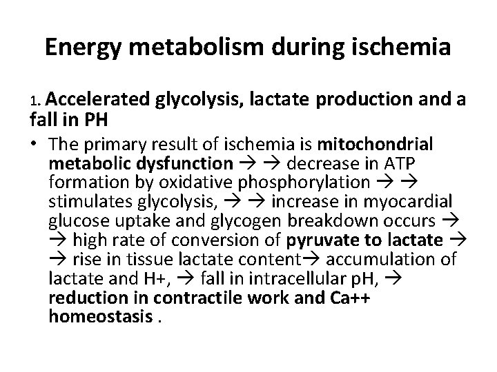 Energy metabolism during ischemia 1. Accelerated glycolysis, lactate production and a fall in PH