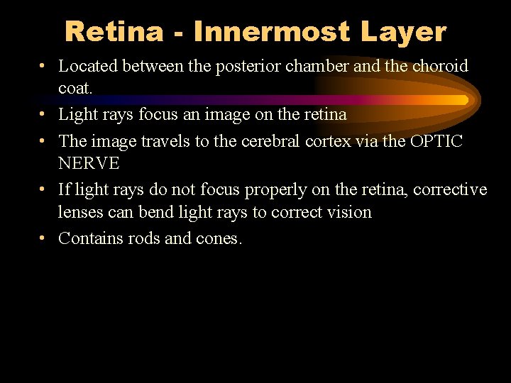 Retina - Innermost Layer • Located between the posterior chamber and the choroid coat.