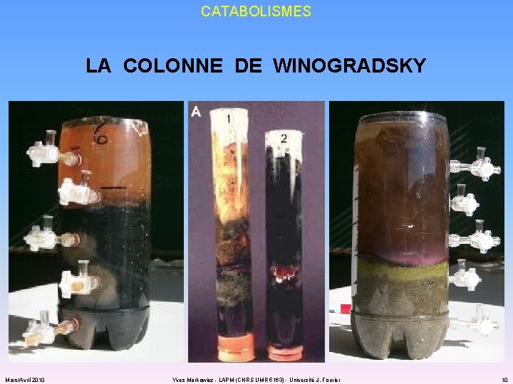 CATABOLISMES LA COLONNE DE WINOGRADSKY Mars/Avril 2010 Yves Markowicz - LAPM (CNRS UMR 5163)