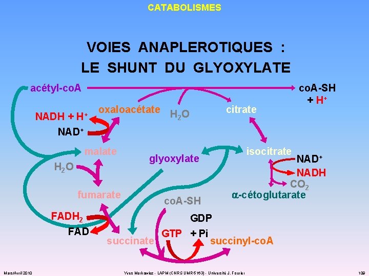 CATABOLISMES VOIES ANAPLEROTIQUES : LE SHUNT DU GLYOXYLATE acétyl-co. A NADH + H+ NAD+