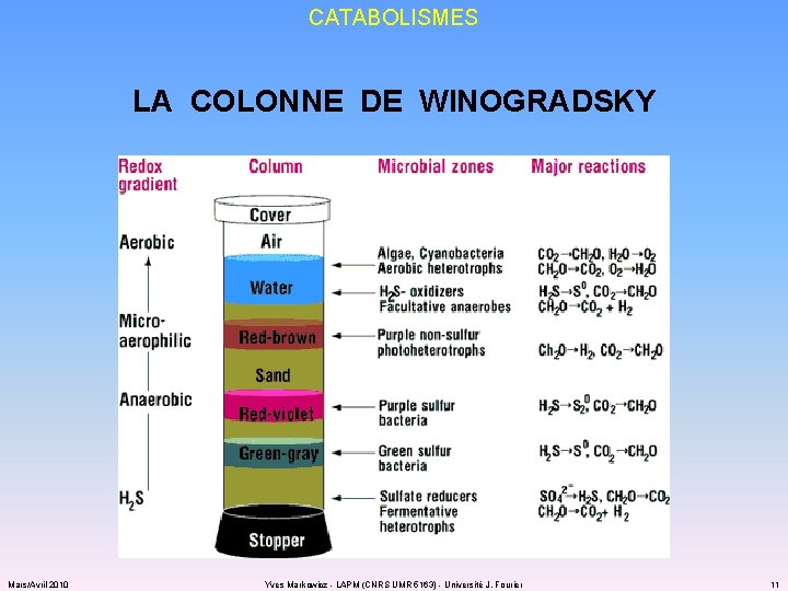 CATABOLISMES LA COLONNE DE WINOGRADSKY Mars/Avril 2010 Yves Markowicz - LAPM (CNRS UMR 5163)