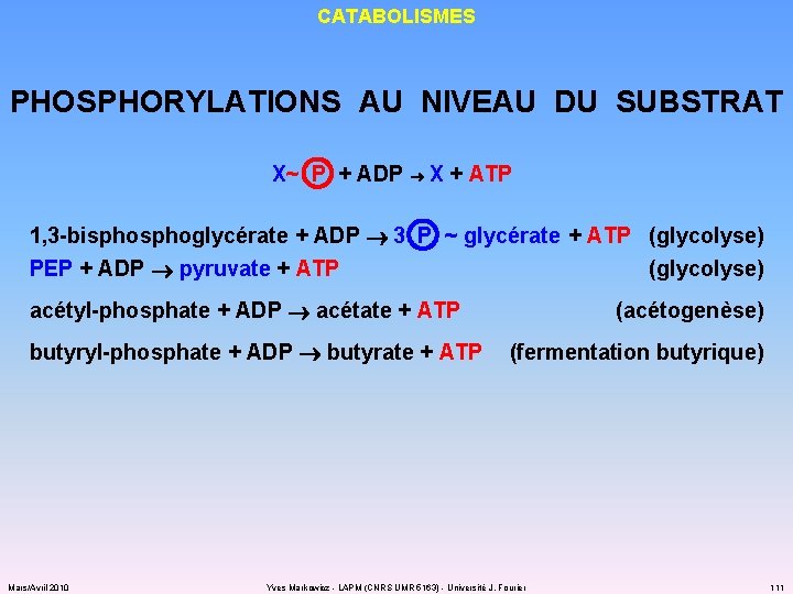 CATABOLISMES PHOSPHORYLATIONS AU NIVEAU DU SUBSTRAT X~ P + ADP X + ATP 3