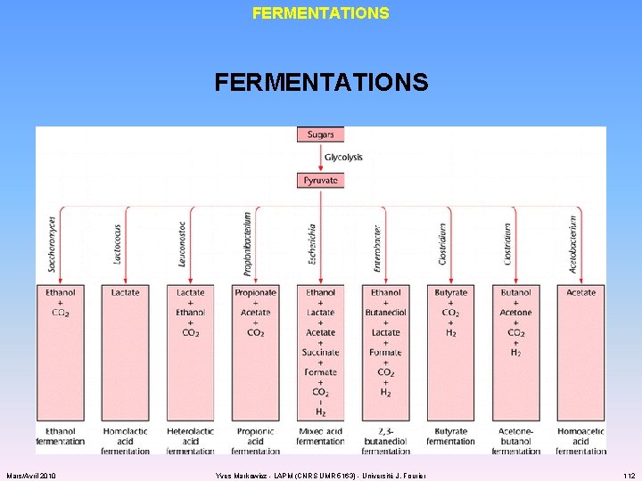 FERMENTATIONS Mars/Avril 2010 Yves Markowicz - LAPM (CNRS UMR 5163) - Université J. Fourier