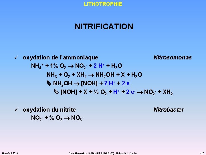 LITHOTROPHIE NITRIFICATION ü oxydation de l’ammoniaque NH 4+ + 1½ O 2 NO 2