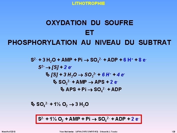 LITHOTROPHIE OXYDATION DU SOUFRE ET PHOSPHORYLATION AU NIVEAU DU SUBTRAT S 2 - +