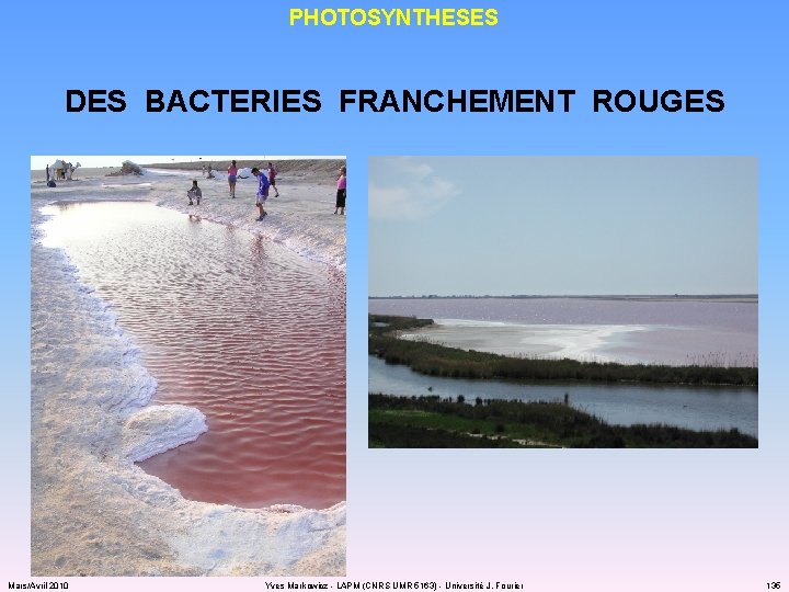 PHOTOSYNTHESES DES BACTERIES FRANCHEMENT ROUGES Mars/Avril 2010 Yves Markowicz - LAPM (CNRS UMR 5163)