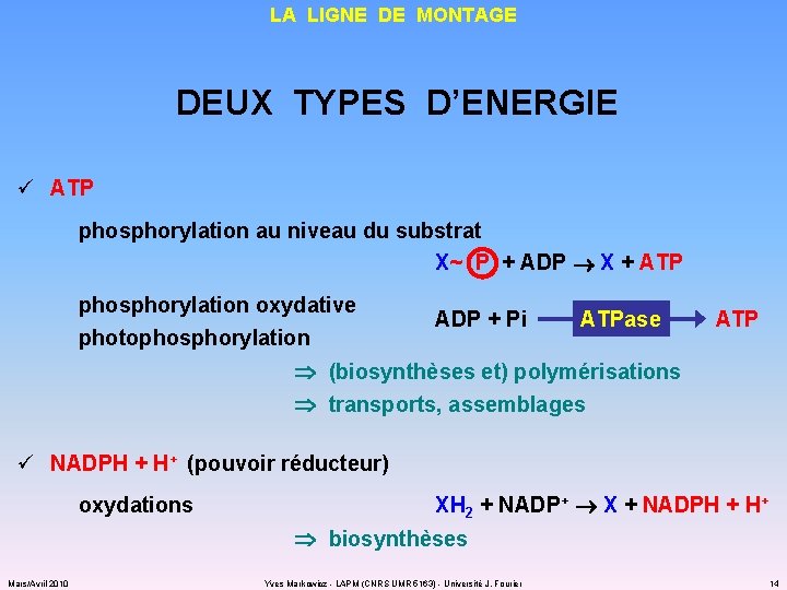 LA LIGNE DE MONTAGE DEUX TYPES D’ENERGIE ü ATP phosphorylation au niveau du substrat