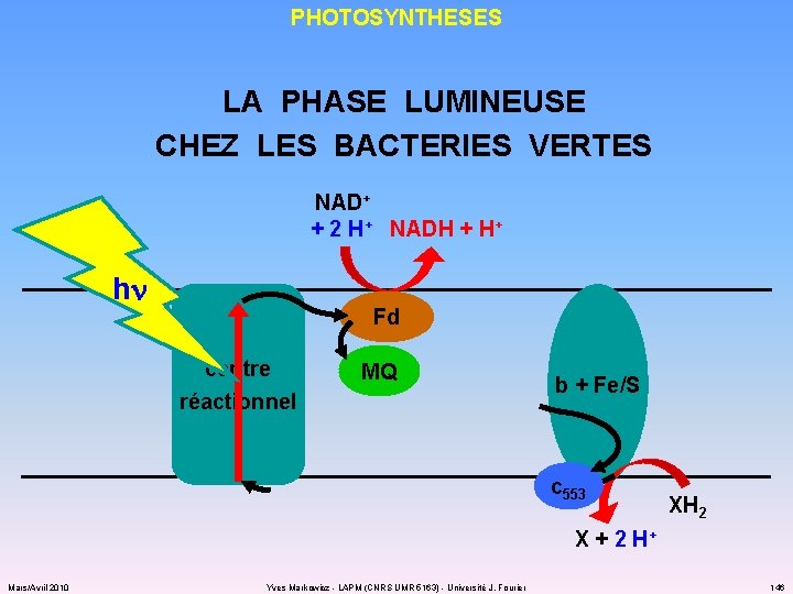 PHOTOSYNTHESES LA PHASE LUMINEUSE CHEZ LES BACTERIES VERTES NAD+ + 2 H+ NADH +