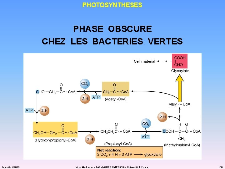 PHOTOSYNTHESES PHASE OBSCURE CHEZ LES BACTERIES VERTES Mars/Avril 2010 Yves Markowicz - LAPM (CNRS