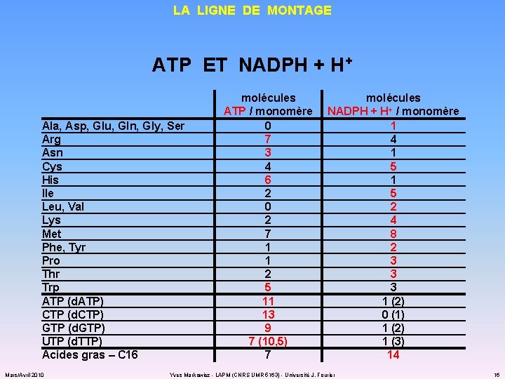 LA LIGNE DE MONTAGE ATP ET NADPH + H+ Ala, Asp, Glu, Gln, Gly,