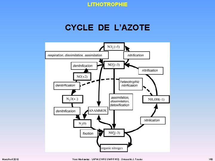 LITHOTROPHIE CYCLE DE L’AZOTE Mars/Avril 2010 Yves Markowicz - LAPM (CNRS UMR 5163) -