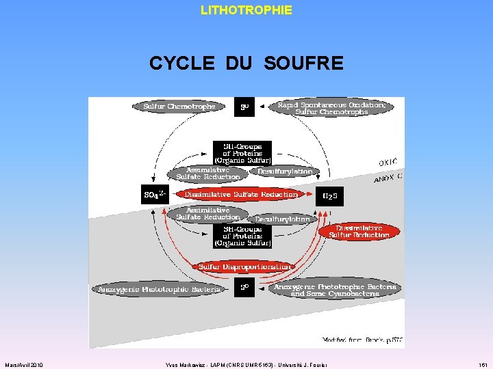 LITHOTROPHIE CYCLE DU SOUFRE Mars/Avril 2010 Yves Markowicz - LAPM (CNRS UMR 5163) -