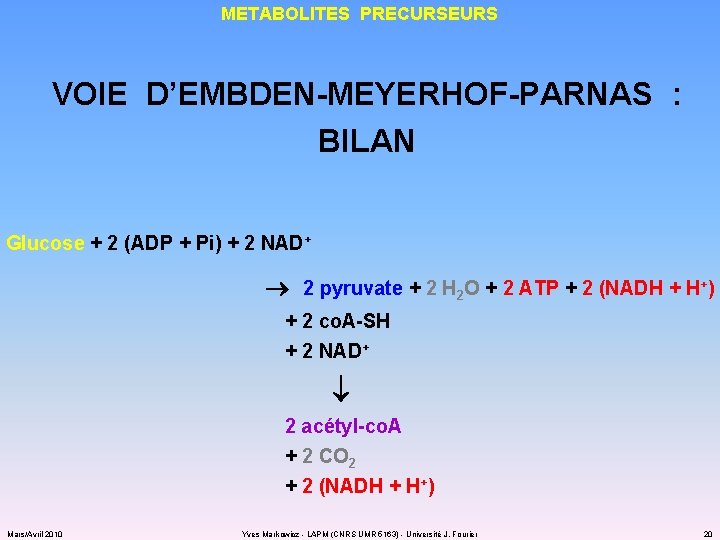 METABOLITES PRECURSEURS VOIE D’EMBDEN-MEYERHOF-PARNAS : BILAN Glucose + 2 (ADP + Pi) + 2