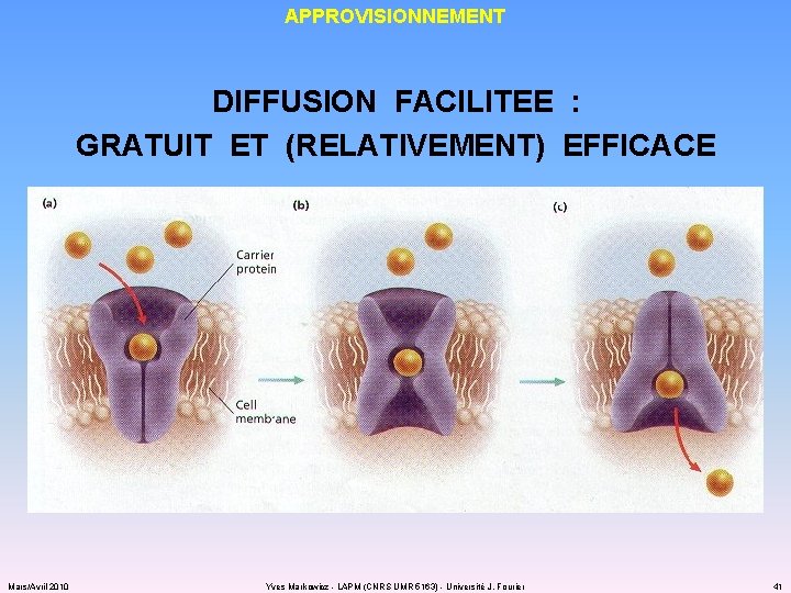 APPROVISIONNEMENT DIFFUSION FACILITEE : GRATUIT ET (RELATIVEMENT) EFFICACE Mars/Avril 2010 Yves Markowicz - LAPM