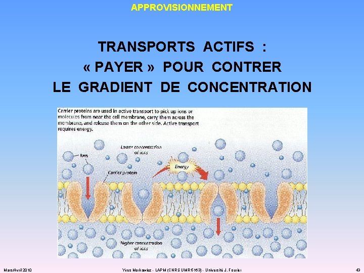 APPROVISIONNEMENT TRANSPORTS ACTIFS : « PAYER » POUR CONTRER LE GRADIENT DE CONCENTRATION Mars/Avril