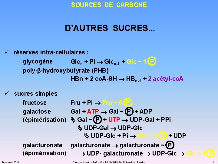 SOURCES DE CARBONE D’AUTRES SUCRES. . . ü réserves intra-cellulaires : glycogène Glcn +