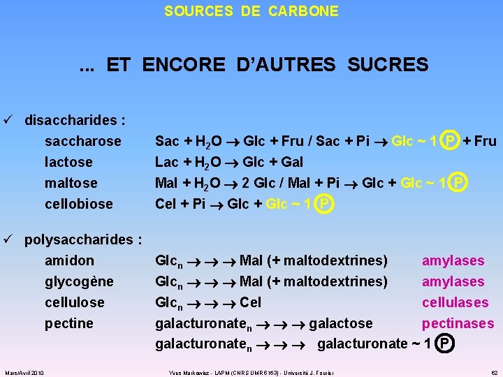 SOURCES DE CARBONE . . . ET ENCORE D’AUTRES SUCRES ü disaccharides : saccharose
