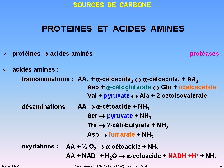 SOURCES DE CARBONE PROTEINES ET ACIDES AMINES ü protéines acides aminés protéases ü acides