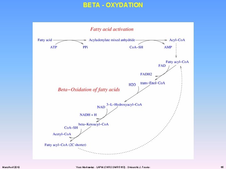 BETA - OXYDATION Mars/Avril 2010 Yves Markowicz - LAPM (CNRS UMR 5163) - Université