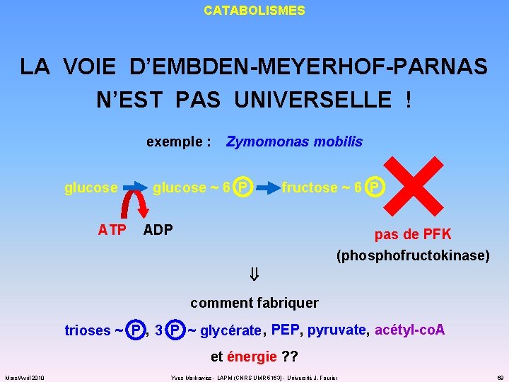 CATABOLISMES LA VOIE D’EMBDEN-MEYERHOF-PARNAS N’EST PAS UNIVERSELLE ! exemple : glucose ATP Zymomonas mobilis