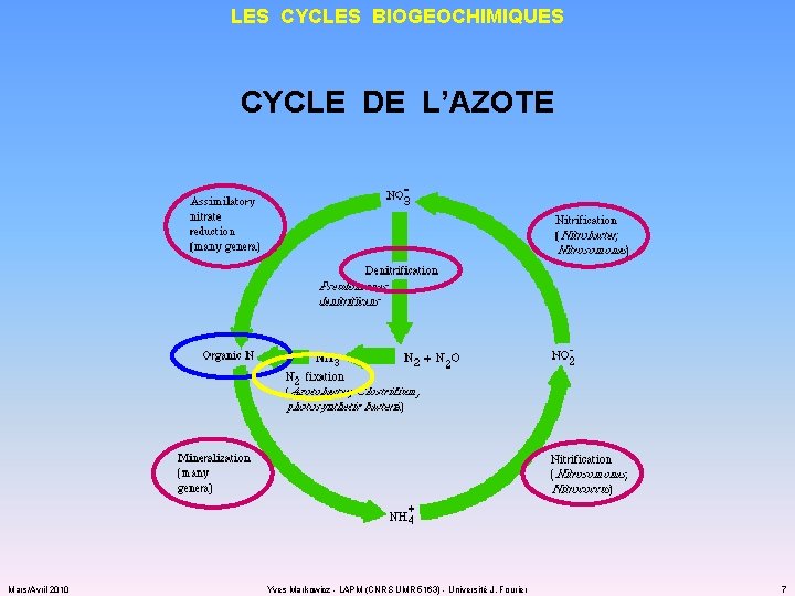 LES CYCLES BIOGEOCHIMIQUES CYCLE DE L’AZOTE Mars/Avril 2010 Yves Markowicz - LAPM (CNRS UMR