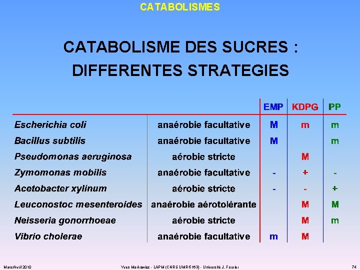 CATABOLISMES CATABOLISME DES SUCRES : DIFFERENTES STRATEGIES Mars/Avril 2010 Yves Markowicz - LAPM (CNRS