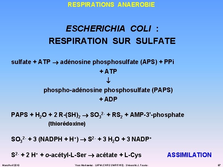 RESPIRATIONS ANAEROBIE ESCHERICHIA COLI : RESPIRATION SUR SULFATE sulfate + ATP adénosine phosulfate (APS)