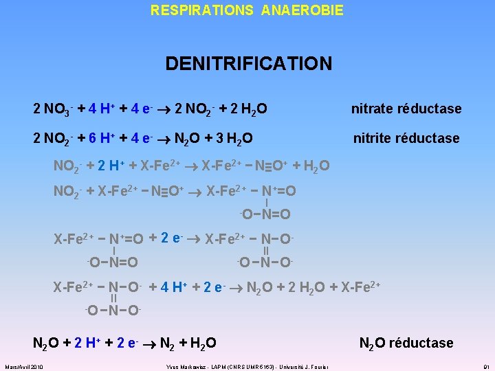 RESPIRATIONS ANAEROBIE DENITRIFICATION 2 NO 3 - + 4 H+ + 4 e- 2