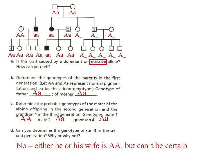 Aa AA aa aa Aa Aa A_ Aa Aa Aa AA A_ A_ Aa