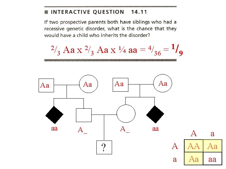 2/ 2/ Aa x ¼ aa = 4/ = 1/ Aa x 3 3