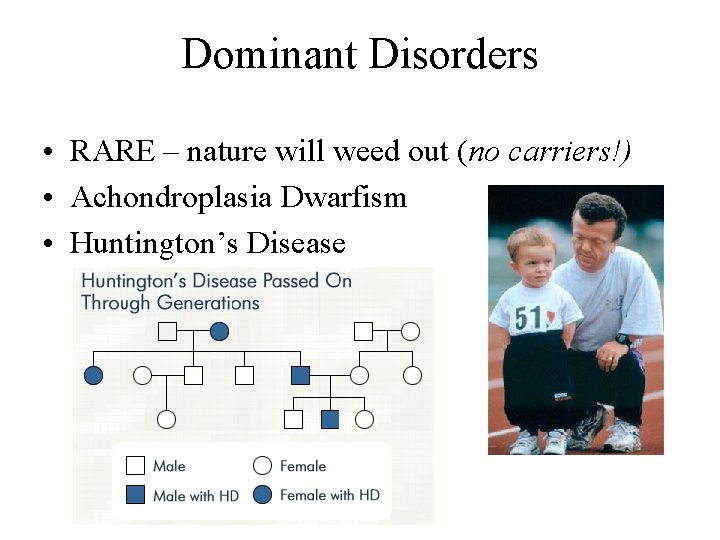 Dominant Disorders • RARE – nature will weed out (no carriers!) • Achondroplasia Dwarfism